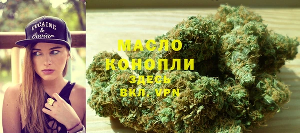 дмт Алексин