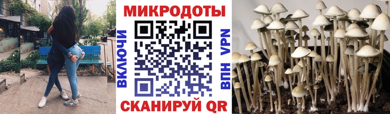 Псилоцибиновые грибы мухоморы  Купить  Славск 